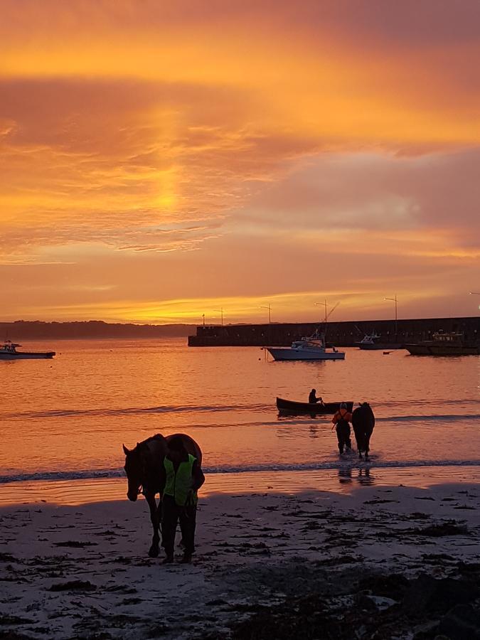 Vila Wayamba Warrnambool Exteriér fotografie